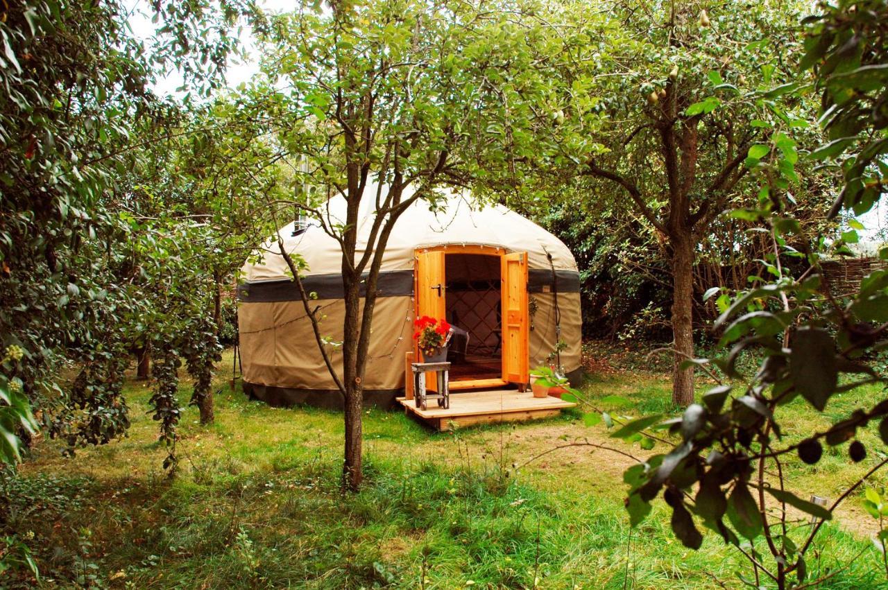Hotel Stamford Meadows Glamping With Private Hot Tubs Esterno foto
