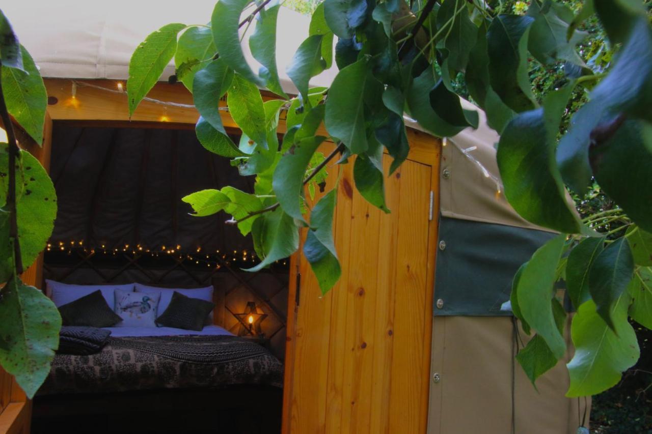 Hotel Stamford Meadows Glamping With Private Hot Tubs Esterno foto