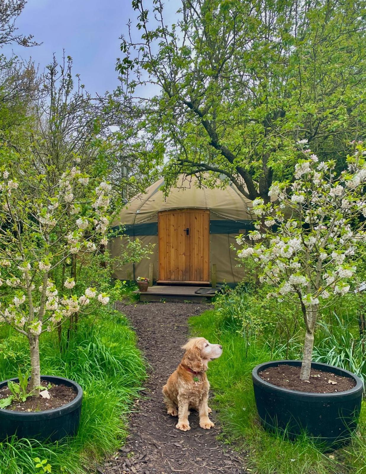 Hotel Stamford Meadows Glamping With Private Hot Tubs Esterno foto